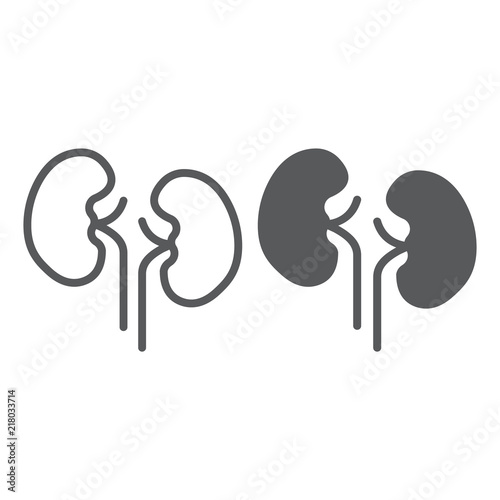 Kidney line and glyph icon, anatomy and biology, urology sign, vector graphics, a linear pattern on a white background, eps 10.