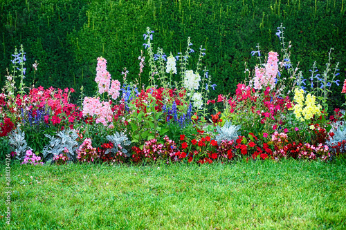 Fototapeta Naklejka Na Ścianę i Meble -  beautiful flower garden