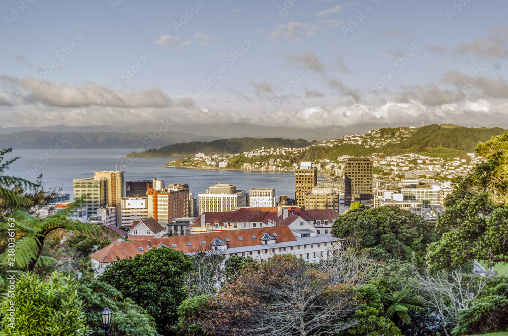 Panoramic view of Wellington, New Zealand.