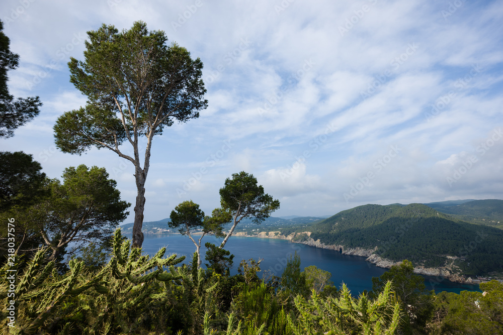 Obraz premium Ibiza coast