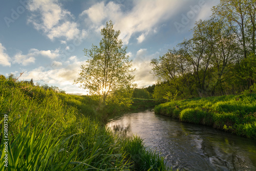 Summer dawn. In the foreground brightly lit grass. In the background, the sun seeps through the tree branches. Near the river flows. Horizontal photo. Udmurtiya, Russia photo