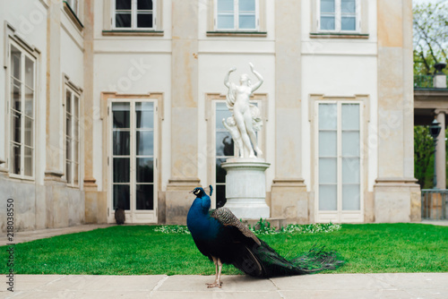 Ancient palace and park ensemble of Lazienki in Warsaw photo