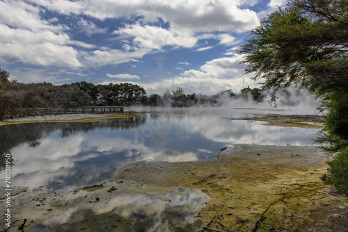 Hot vapours in the crater lake in Kuirau Park in Rotorua, New Zealand