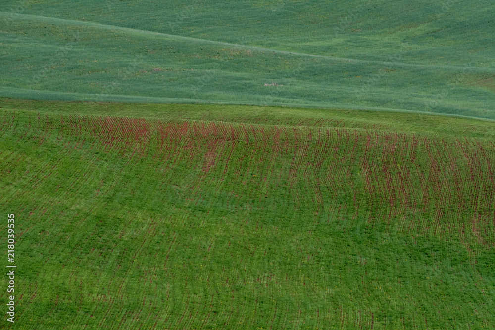 Obraz premium The lines of green hills create beautiful patterns like waves. Partially illuminated by the sun. Beautiful background