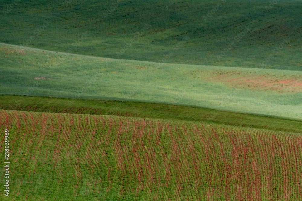 Obraz premium The lines of green hills create beautiful patterns like waves. Partially illuminated by the sun. Beautiful background