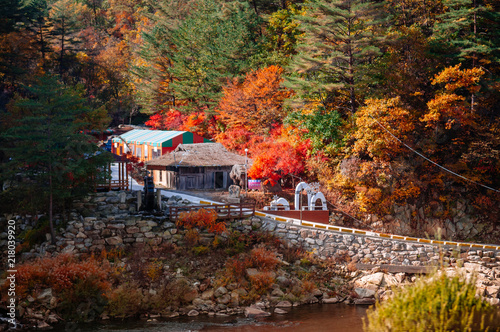 Local korean house in autumn forest at Baekdudaegan Mountain Range Canyon, Korea