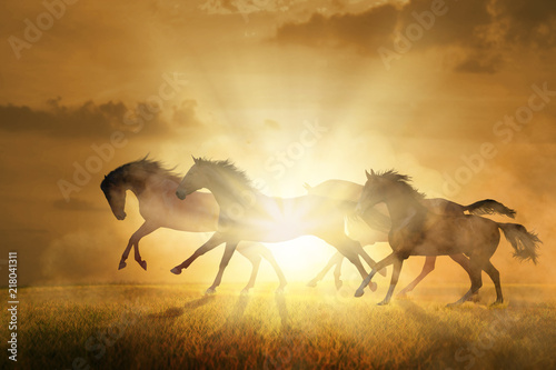 Fototapeta Naklejka Na Ścianę i Meble -  Herd of four horses run at the orange sunset background