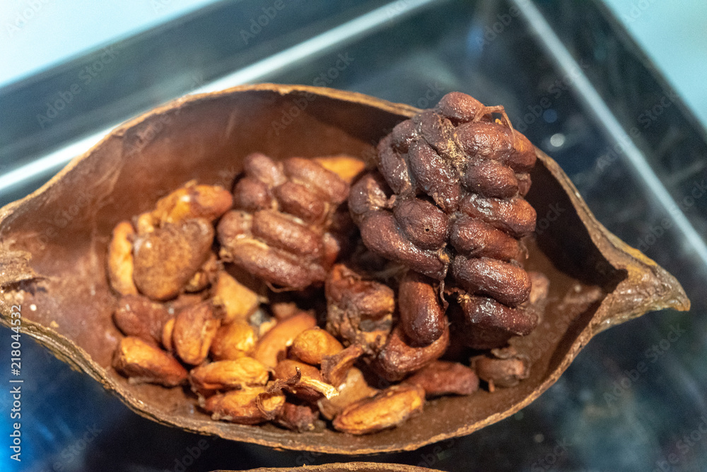 Obraz premium Cocoa pod with cocoa beans.
