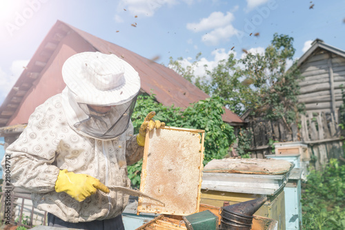  Harvesting honey. Beekeeper works in the apiary.