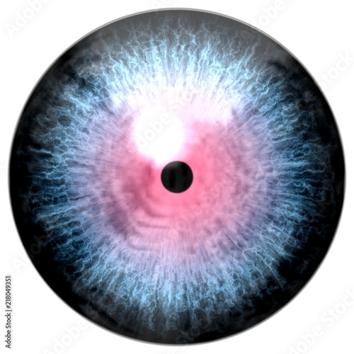 Wolf animal 3d eyeball texture  pink round with colorized eye texture  white background
