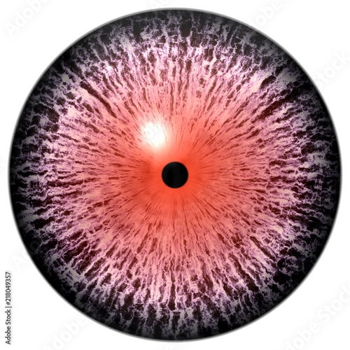 Fototapeta Naklejka Na Ścianę i Meble -  Wolf animal 3d eyeball texture, pink round with colorized eye texture, white background