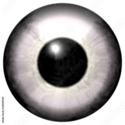 Human white eyeball with black round and white background, eye texture