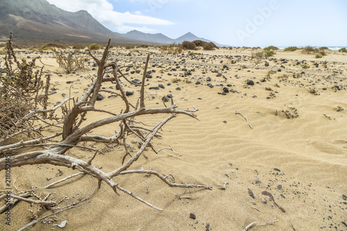 Inside the sand dunes of Cofete beach, Fuerteventura photo