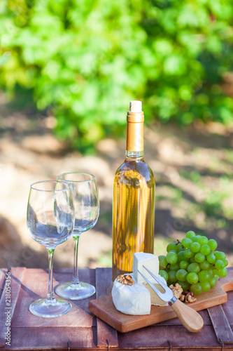 Wine, grapes, nuts, cheese on vineyard. Dinner, lunch, romantic date, picnic, eating on nature.