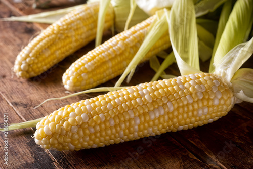 Fresh Corn on the Cob photo