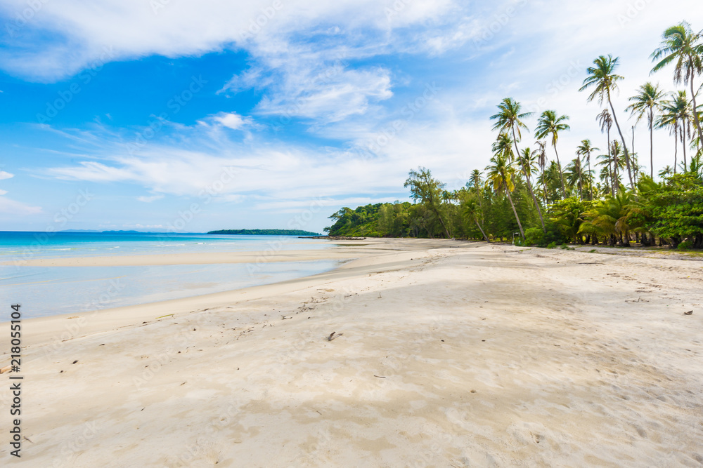 Tropical empty tranquil white sand beach with green forest island