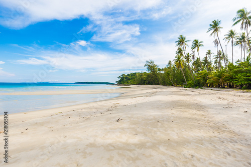 Fototapeta Naklejka Na Ścianę i Meble -  Tropical empty tranquil white sand beach with green forest island