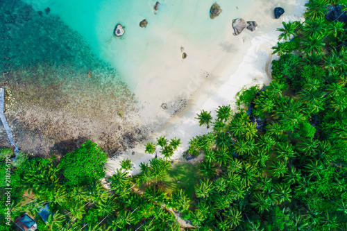 Amazing white sand beach sea shore with coconut palm tree shadow in morning.