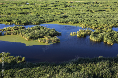 Aerial view of the wetland