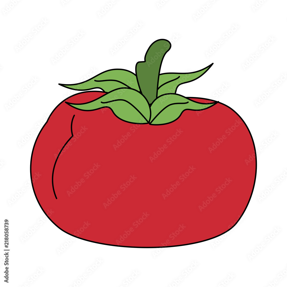 Tomato fresh and natural vegetable vector illustration graphic design Tomato fresh and natural vegetable vector illustration graphic design