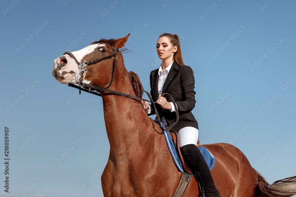 Rider elegant woman riding her horse outside Rider elegant woman riding her horse outside