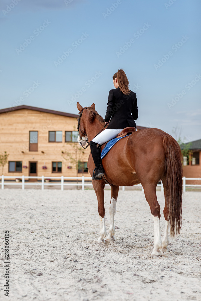 Rider elegant woman riding her horse outside Rider elegant woman riding her horse outside