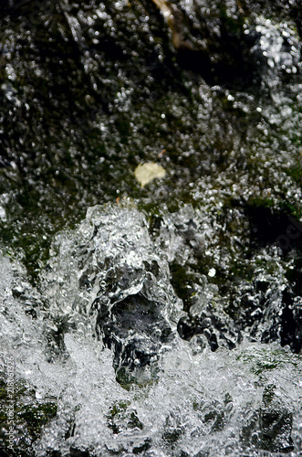 Fototapeta Naklejka Na Ścianę i Meble -  beautiful water in the pond