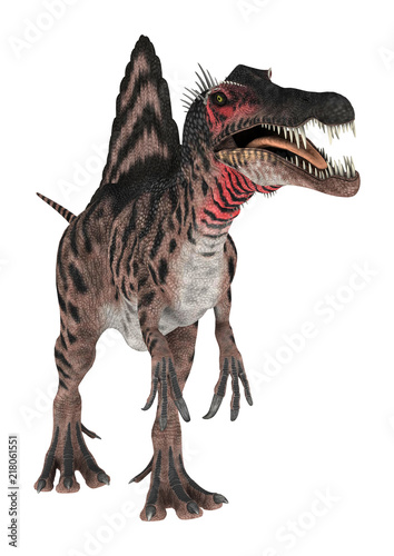 Fototapeta Naklejka Na Ścianę i Meble -  3D Rendering Dinosaur Spinosaurus on White