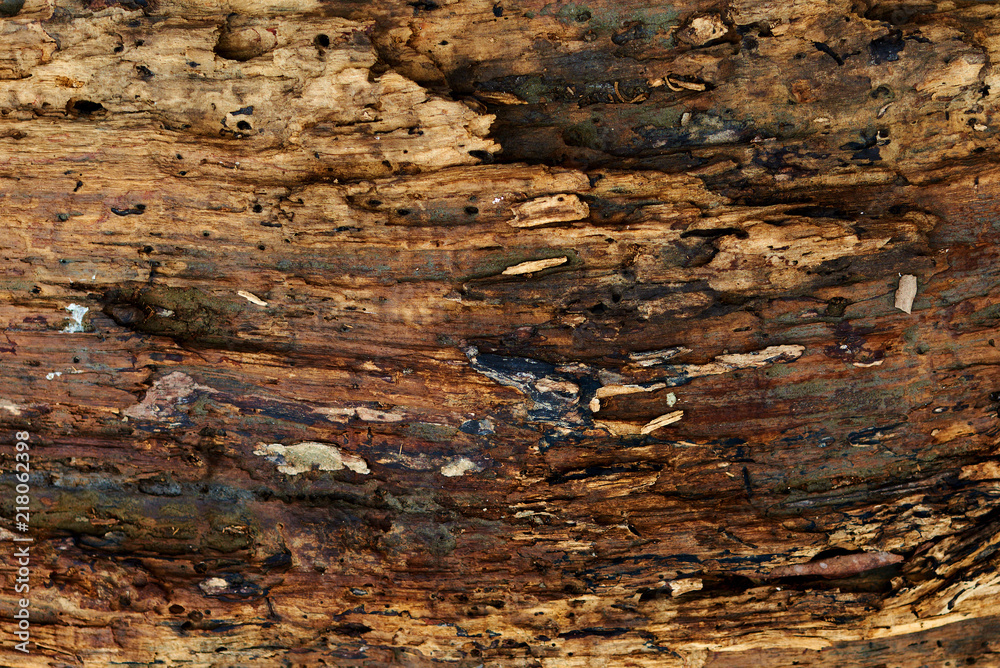 Brown dark wood rotten texture for background. Brown dark wood rotten texture for background.