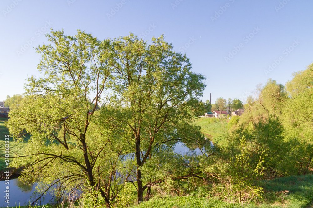 The river in the spring with a thick bushy trees on the shore The river in the spring with a thick bushy trees on the shore