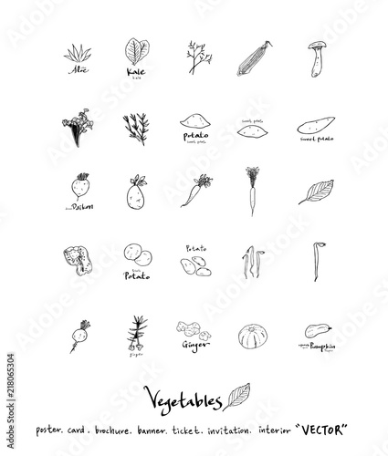 농산물 일러스트 / 손으로 그린 과일과 채소 그림