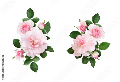 Set of pink rose flowers an...