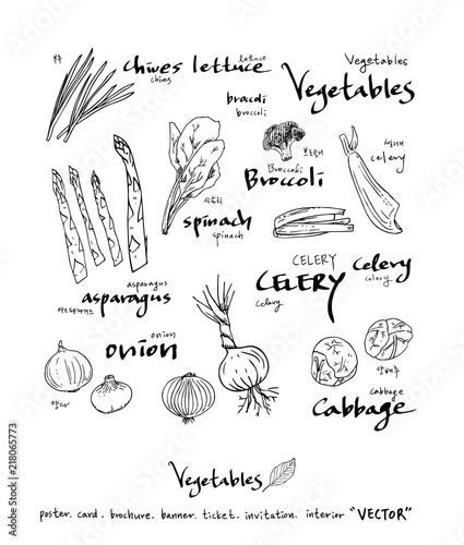 농산물 일러스트 / 손으로 그린 과일과 채소 그림