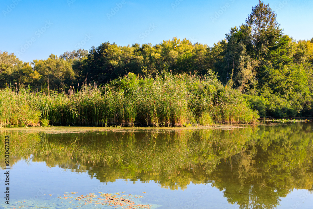 Summer landscape with beautiful river, green trees and blue sky Summer landscape with beautiful river, green trees and blue sky