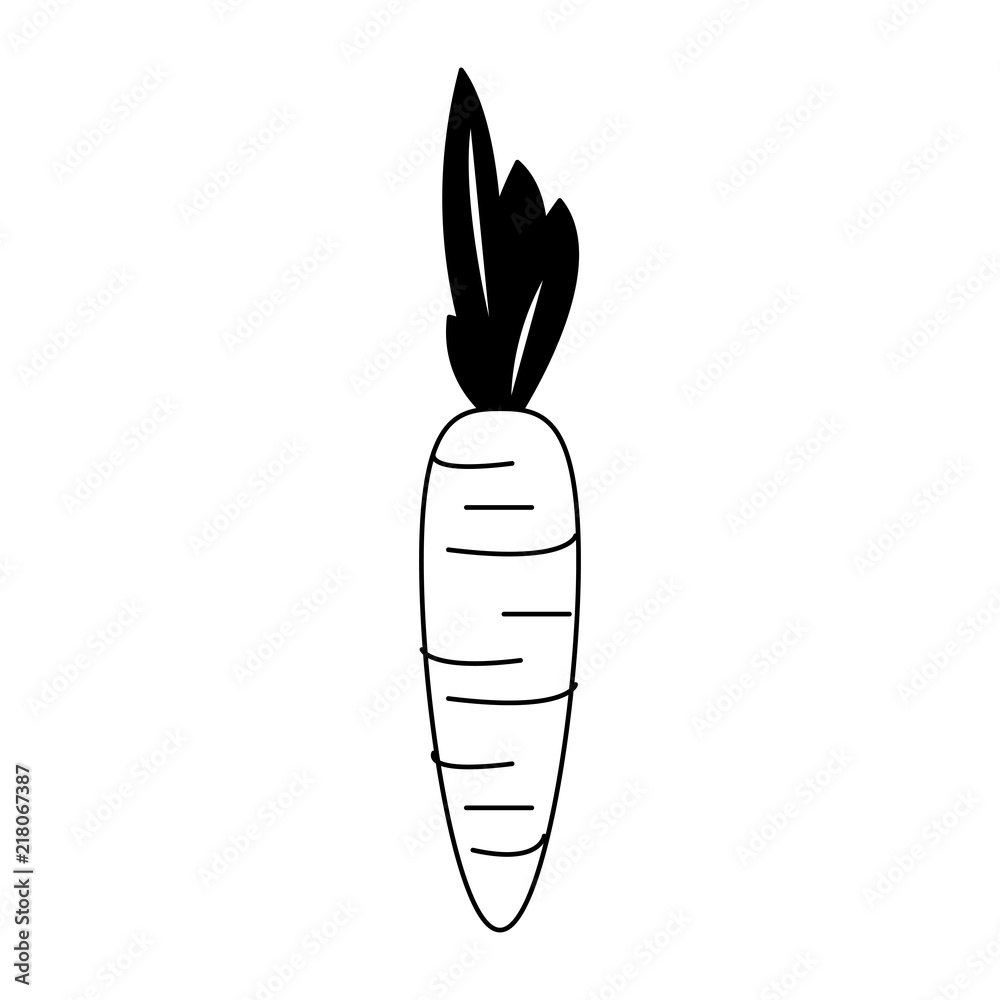 Carrot fresh and natural vegetable vector illustration graphic design Carrot fresh and natural vegetable vector illustration graphic design