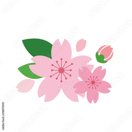 Nature flower pink cherry blossom
