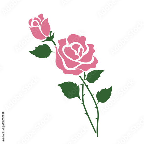 Nature flower pink rose