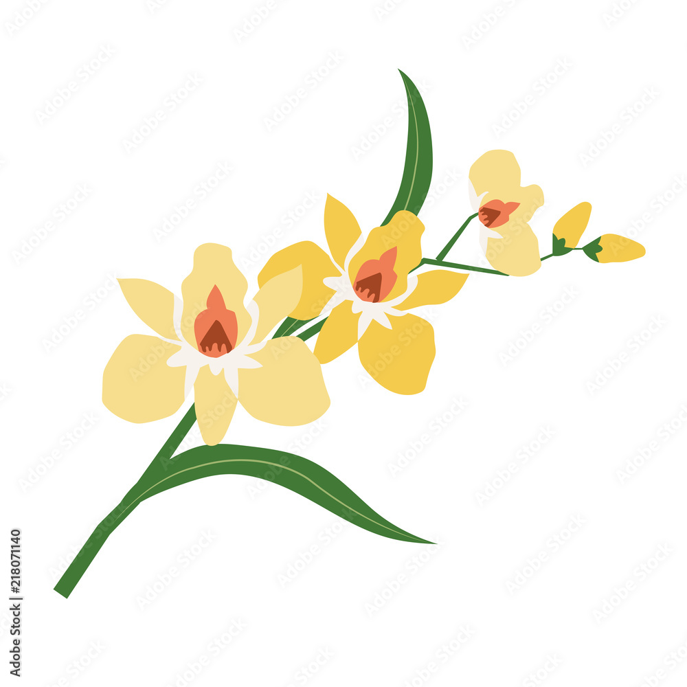 Naklejka premium Nature flower yellow orchid