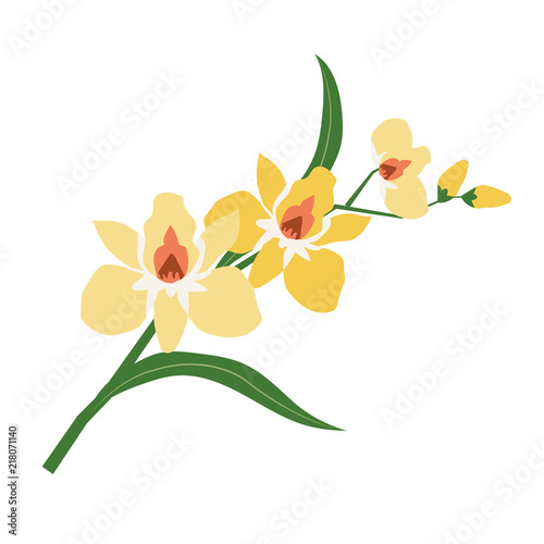 Nature flower yellow orchid