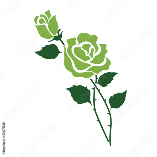 Nature flower green rose