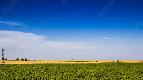far view of a truck driving free near a field of sunflower