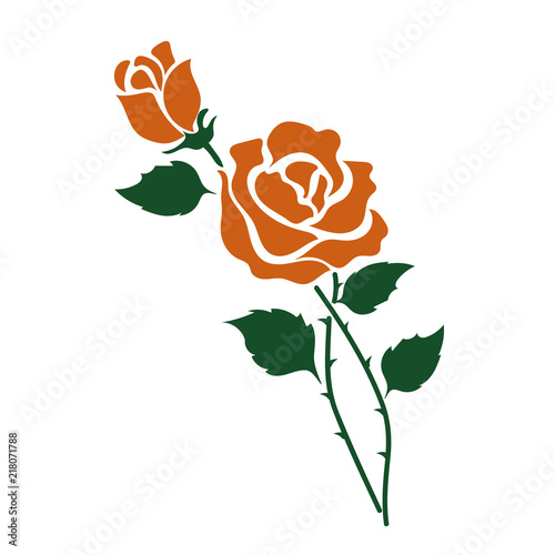Nature flower orange rose