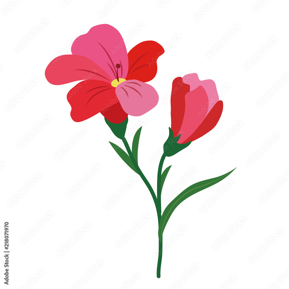 Nature flower red freesia Nature flower red freesia