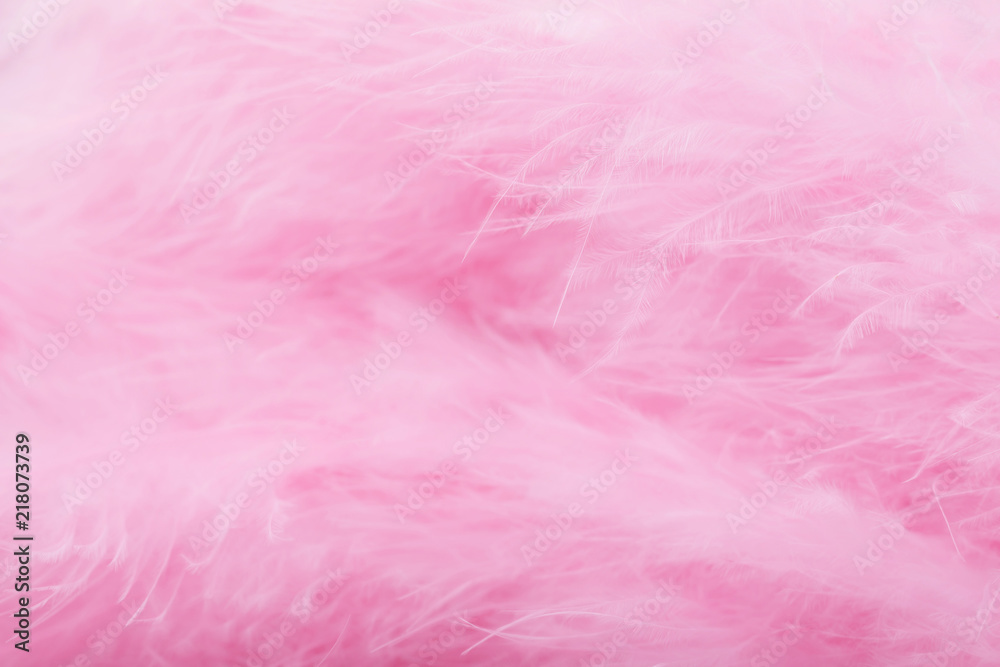 Pink bird feathers in soft and blur style, Fluffy pink feather background Pink bird feathers in soft and blur style, Fluffy pink feather background