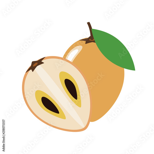 Healthy organic sapodilla chiku