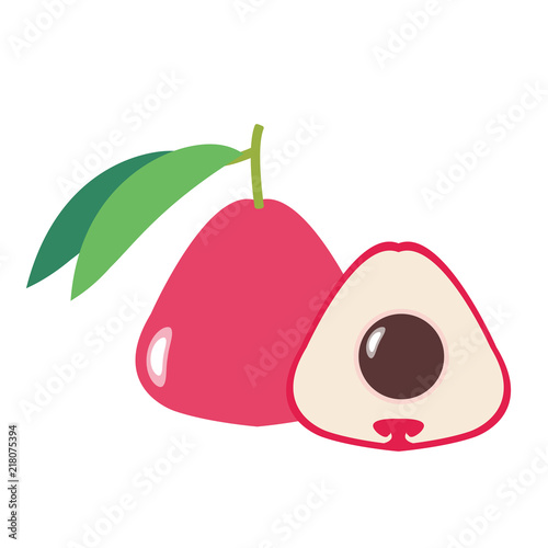 Healthy organic malay apple