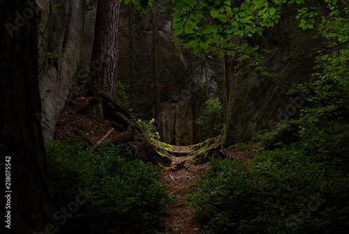 alley in the forest, Czech Republic, Adrspach ,rock city