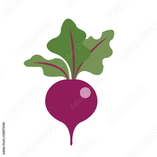 Nature organic vegetable Beet