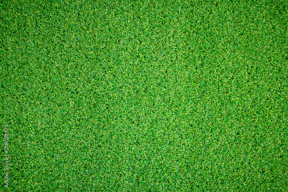 Fototapeta premium Green grass background