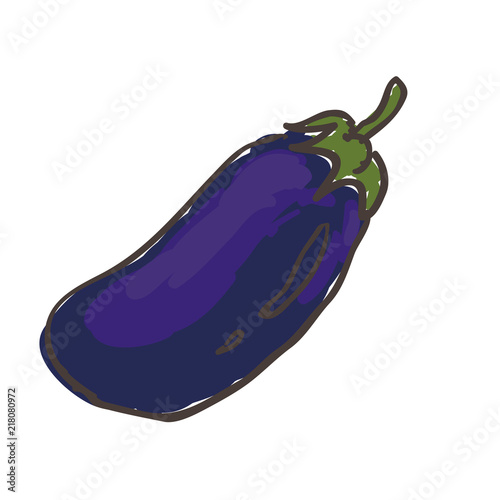 Hand drawn vegetable eggplant